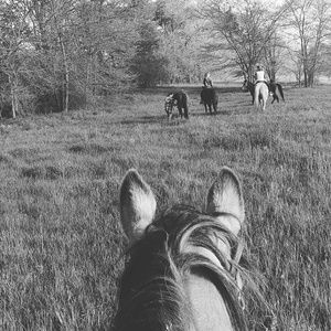 Meet your Posher, Madison